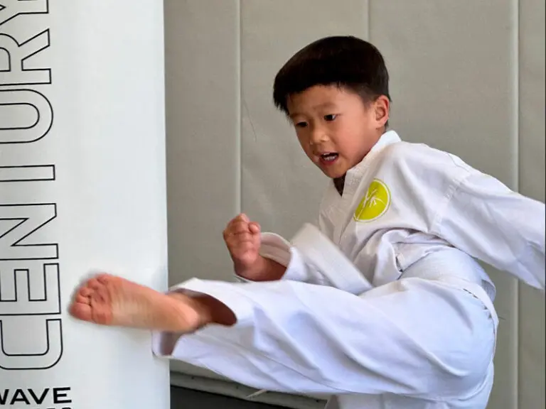 Preschool Karate Classes